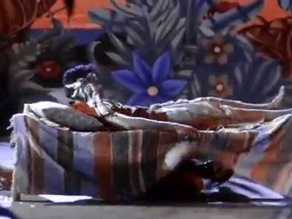 Vache Vache (Aayanaki Mugguru)