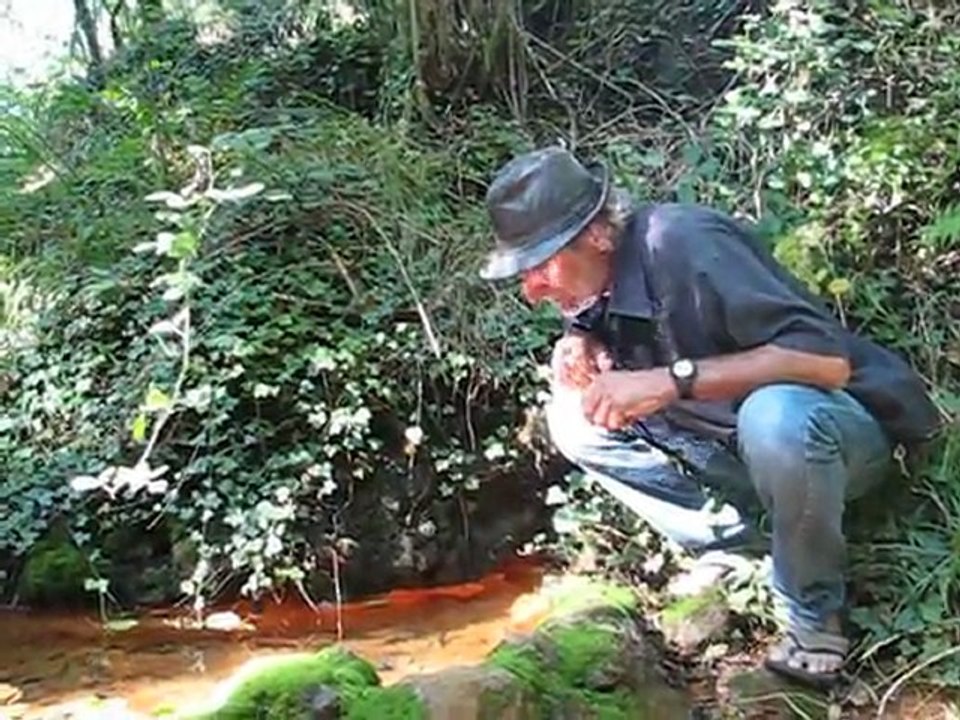 Source Renlaigue + Fico