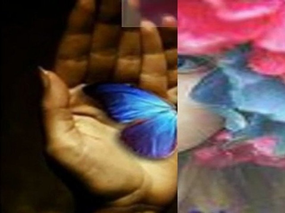 ISMAIL YK  EBRU YASAR - SEVIYORUM SENI