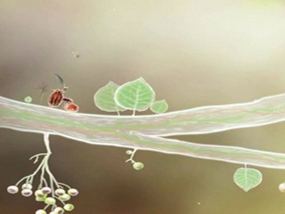 Botanicula trailer