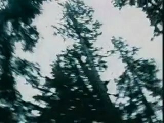 The Walkabouts - The Light Will Stay On