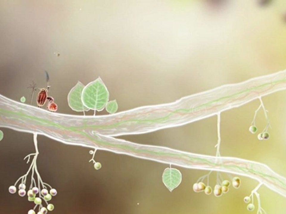 Botanicula : Premier trailer