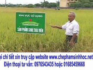 giảm phân lân, phân NPK phân bón các loại 50% mà còn tăng năng suất lên 1 tạ/ sào, hay quá vậy?