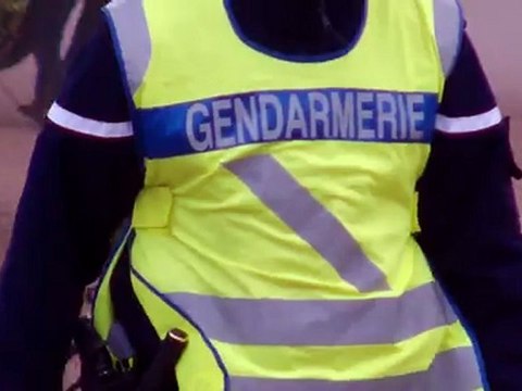 DS3 Cardabelles 2011