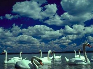 Enstrumantal.Bir rüzgardır gelir geçer sanmıştım.