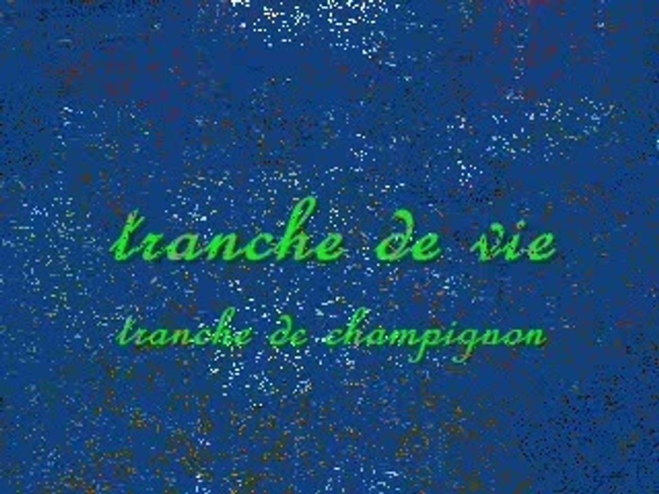 tranche de champignon