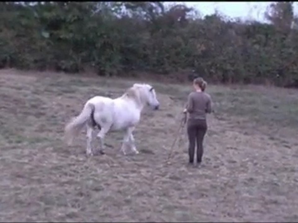 mon quotidien, mon bonheur, ma vie...