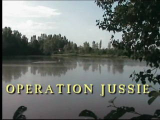 La Jussie, une plante invasive