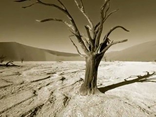 Eylem ÖZTAŞ - Yanar Ağlarım