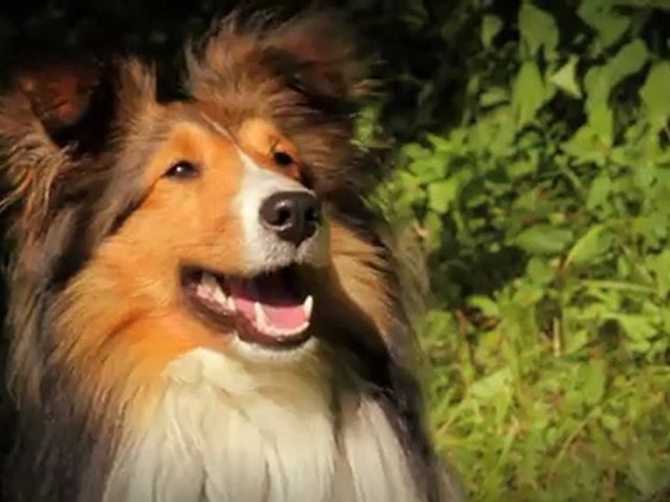 Episode 1 - Arrivee a Fitch