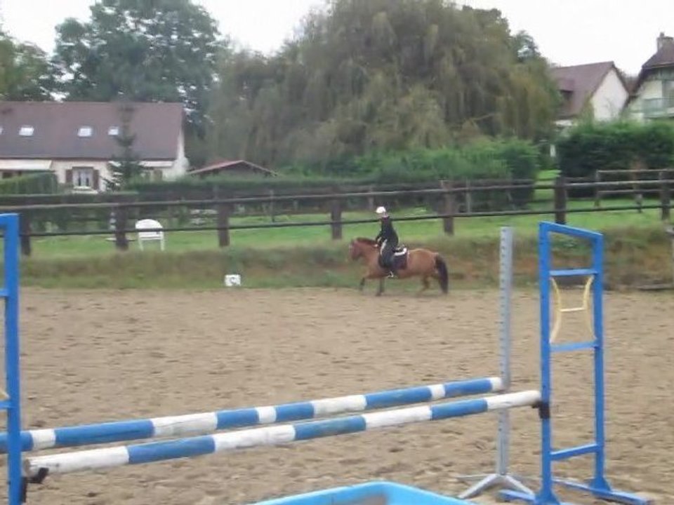 Flocon sauts 10-10-11