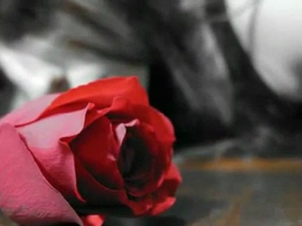 Orhan GENCEBAY-giderim