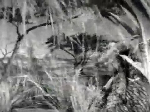 Kethatu Kedaikum (Deiva Thirumagal)