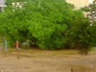 Desbordamiento de Quebrada- El Varillal Edo. Zulia (2)