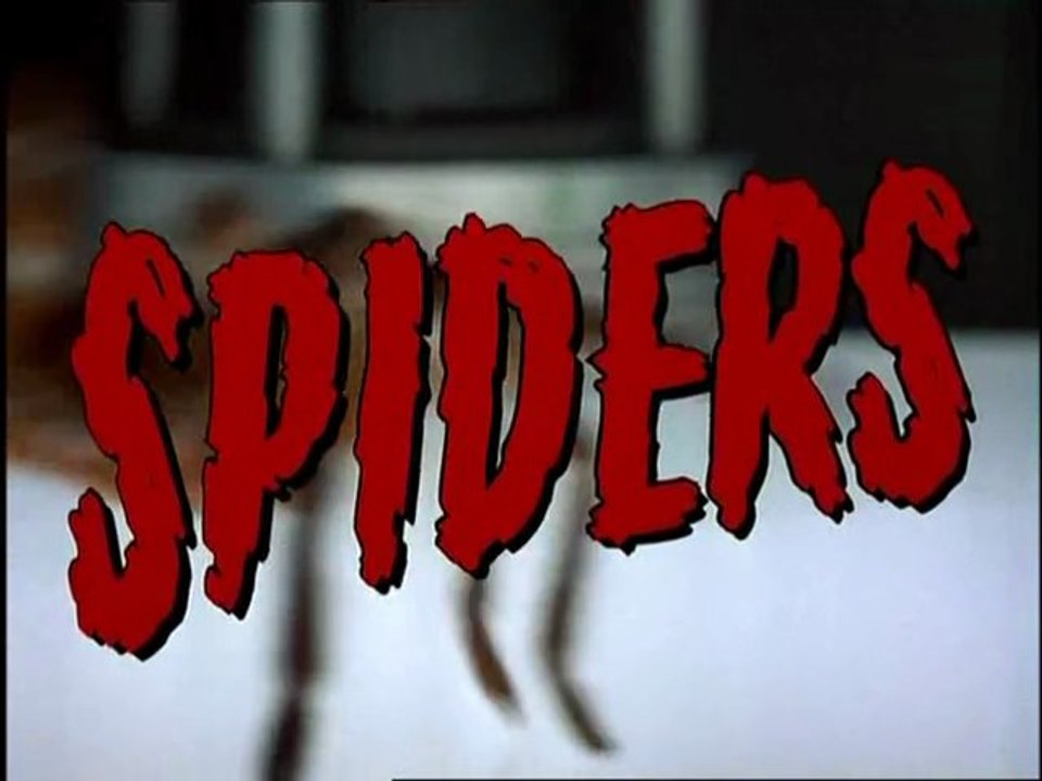 sp!d6rs 1/2