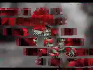 ZARA   -   ASK BIR IZDIRAP