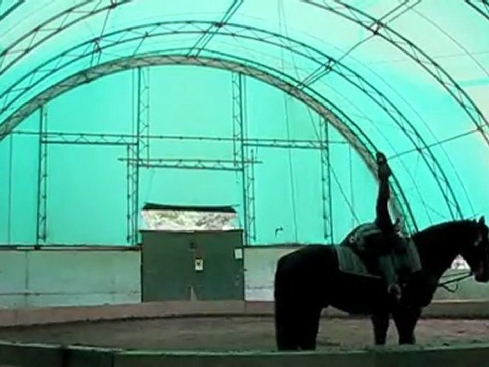 Stage de voltige à la Luna Caballera