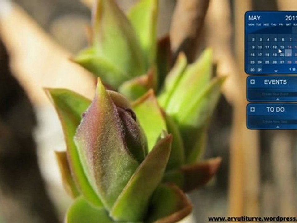 Desktop calendar Rainlendar Free for Windows, Linux and Mac OC X