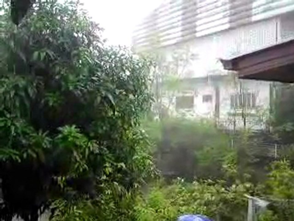 bureau bkk 12/10/11