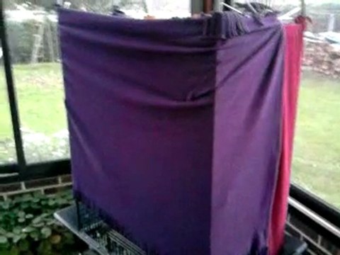 takeo (amazone FB) joue à cache cache derrière ses couvertures