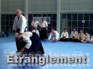 Aikido Rosheim Démo F4P 2011