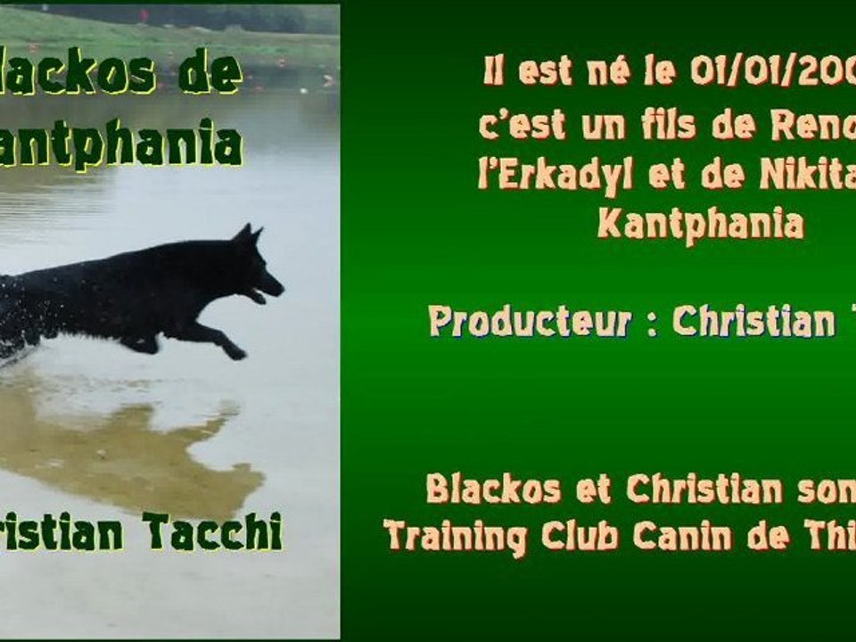 Blackos de Kantphania - Championnat de France de Campagne