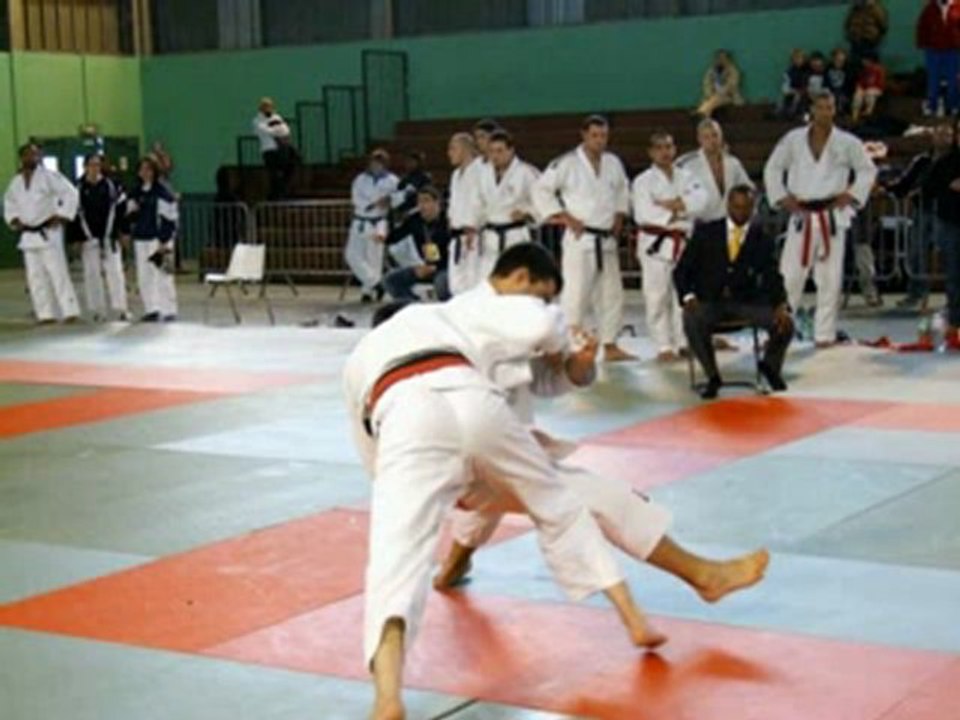 Saison 2010-2011