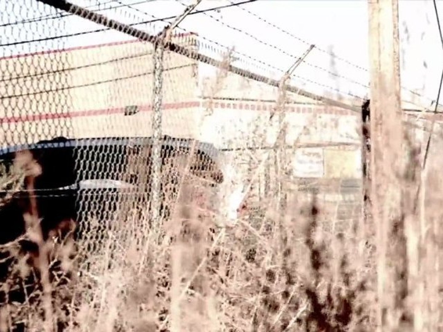 The Photo/Video Show - Film Narratives
