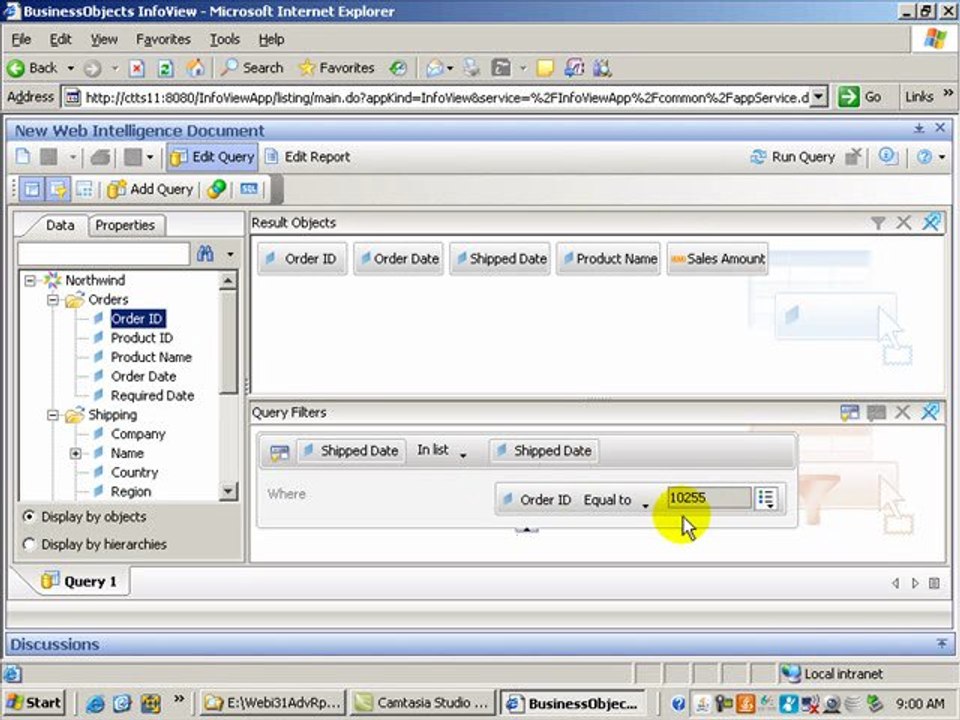 Learn about Advanced Query Filters in WebIntelligence™ ...
