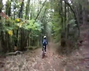 Sortie VTT 2011-10-09