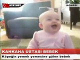 KAHKAHA USTASI BEBEK