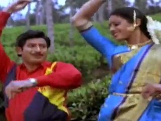 Yadigir Gutta Kada Pillo Pilla(Maavoori Magaadu)