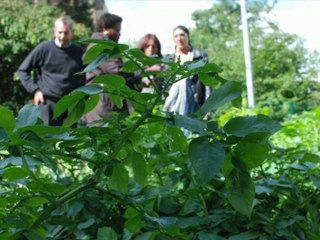 Hortense Hector, une éducatrice humaniste...