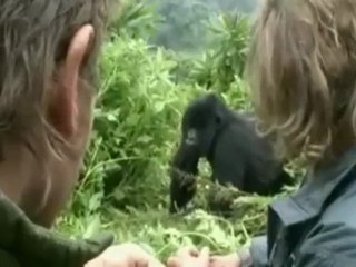 Long Way Down preview