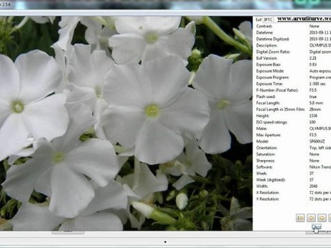 Sort and rename photos by date - freeware AmoK Exif Sorter
