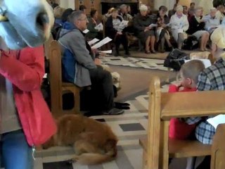 Bénédiction des animaux à Bailleul