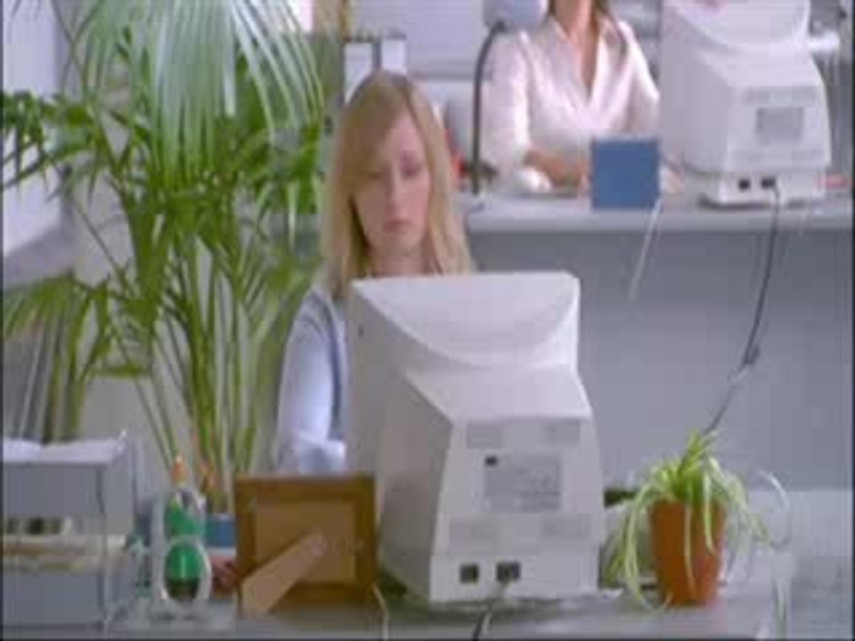 Microsoft et les Pigeons