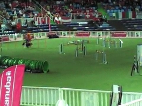 GREG- CHAMPIONNAT MONDE AGILITY LIEVIN 2011