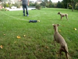 PVL ou coursing artisanal