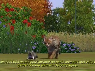 Les Sims 3 - Animaux & Compagnie - Les Coulisses