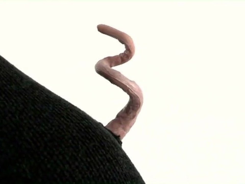 Truismes / La cruelle par Alfredo Arias