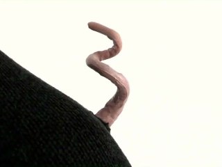 Truismes / La cruelle par Alfredo Arias