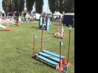 Orchies - 02 Octobre 2011 (Dolmen).wmv.AVI