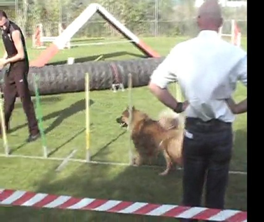 Ronchin - 25 Septembre 2011 (Bambou).wmv