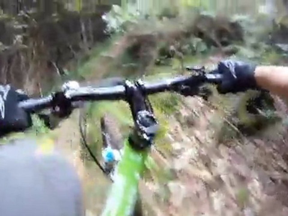 29' randonnée de l'Outre Forêt -Soultz / Forêt 2011