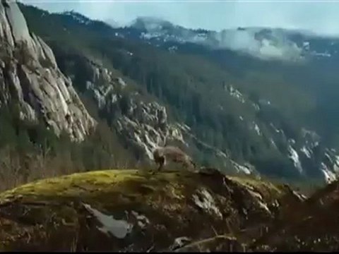 Новый эксклюзивный тв-ролик Рассвета (русс. субтитры)