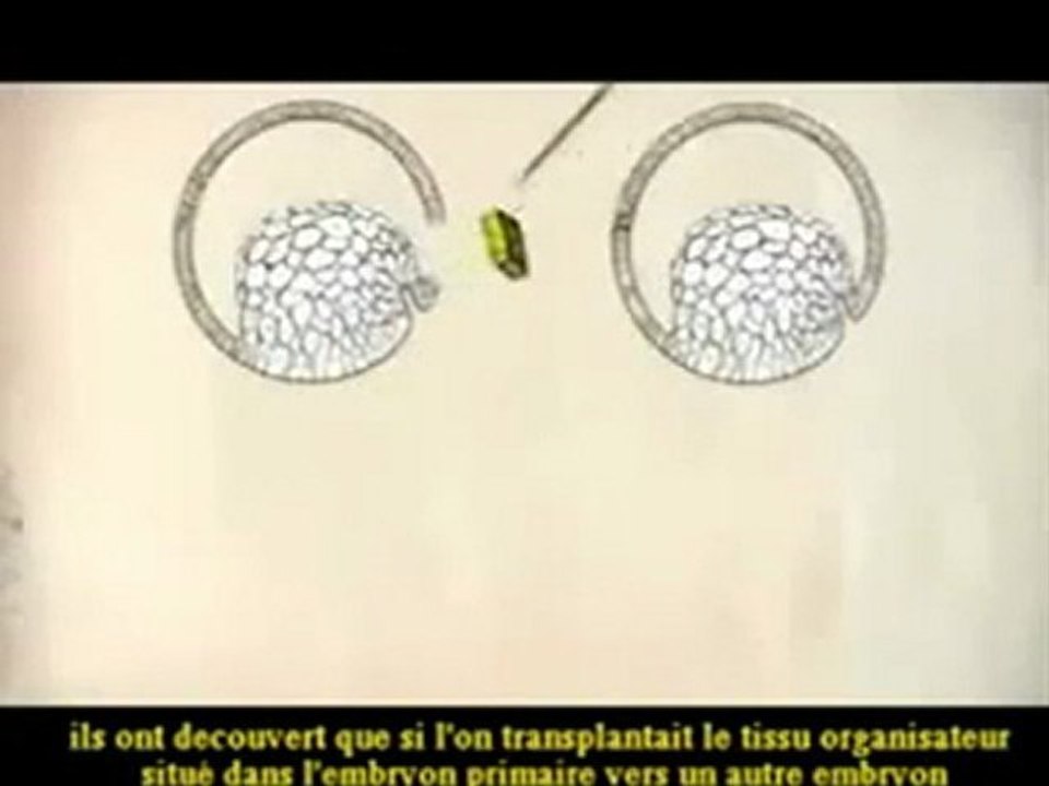 L'Au-Dela part.28 (La Conclusion 3)