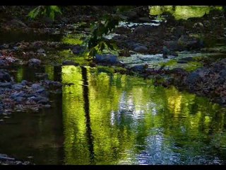 Dereler Özgür Aktıkça Özgürüz-Hes'lere Hayır !   Su Yaşamdır...