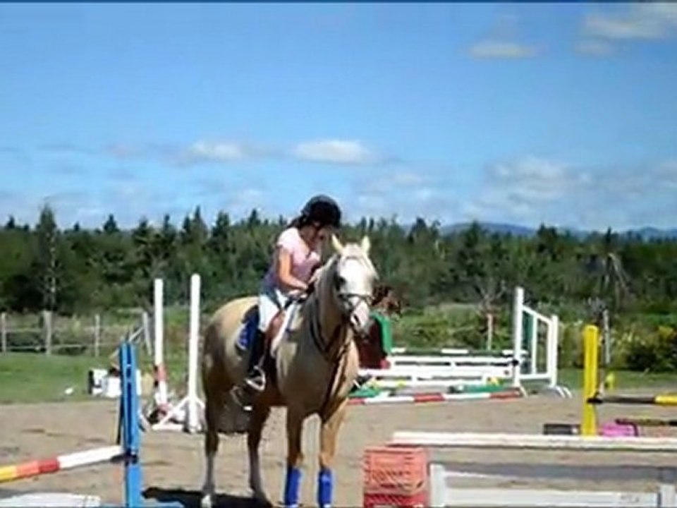 »Montage ,  Moon au plat && Riffel au saut :)