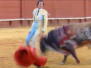 RESUMEN CORRIDA 12 OCTUBRE